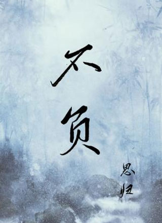 不负小说
