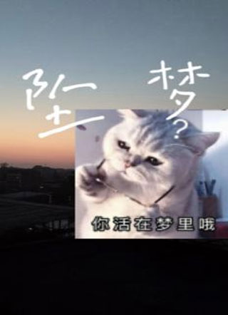 坠梦小说