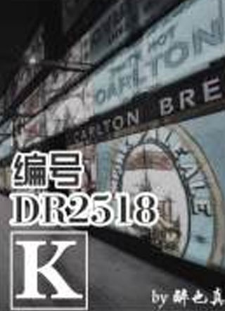 DR2518K小说