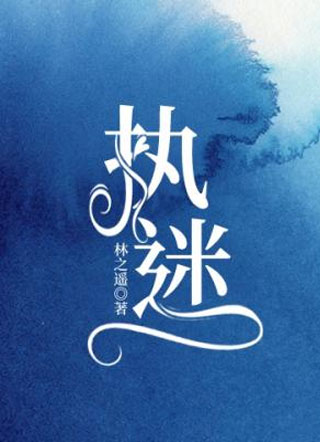 执迷小说