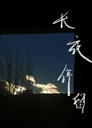 长夜停留小说