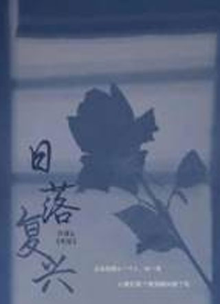 日落复兴小说