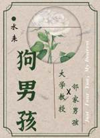狗男孩小说