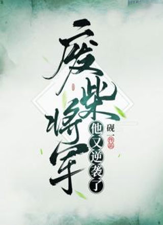 废柴将军他又逆袭了小说