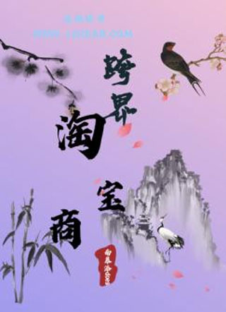 跨界淘宝商小说
