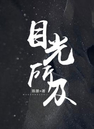 目光所及小说