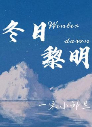 冬日黎明小说