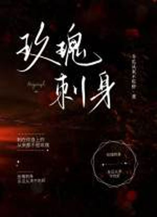 玫瑰刺身小说