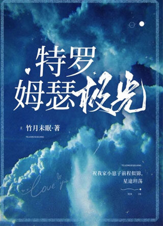 特罗姆瑟极光小说