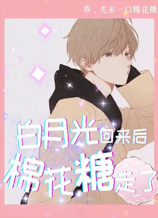 白月光回来后棉花糖走了小说