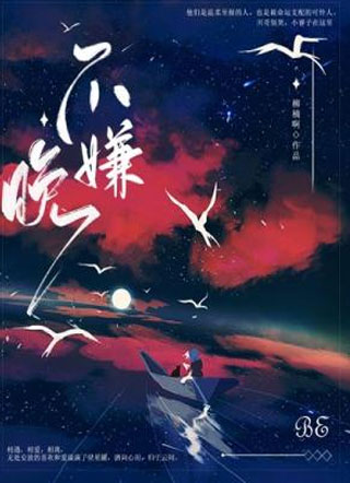 不嫌晚小说
