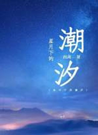星月下的潮汐小说