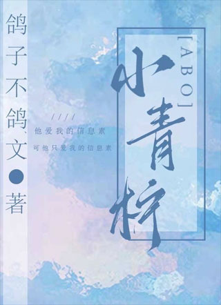 【ABO】小青柠小说