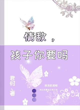 情敌，孩子你要吗？小说