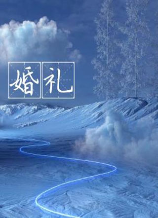 婚礼小说