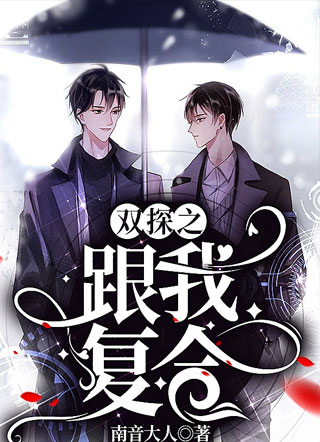 双探之跟我复合小说