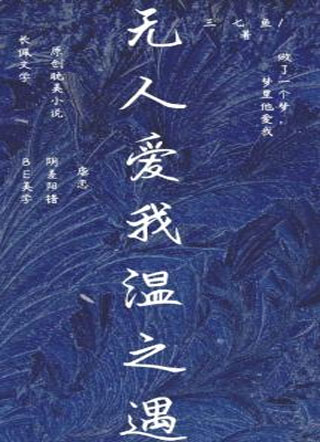 无人爱我温之遇小说