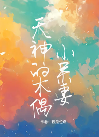 天神的木偶小呆妻小说