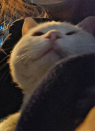 他的威胁小说