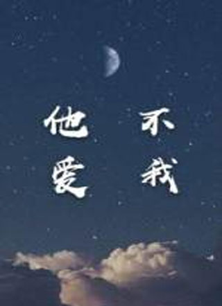 他不爱我木金水小说