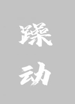 躁动小说