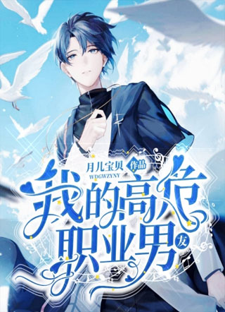 我的高危职业男友小说