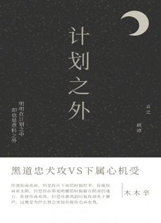 计划之外小说