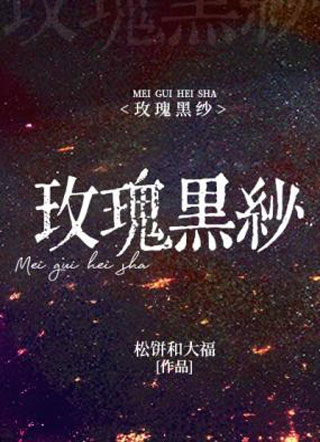 玫瑰黑纱任睢小说