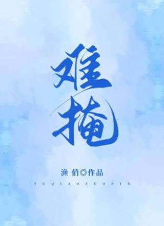 难掩小说