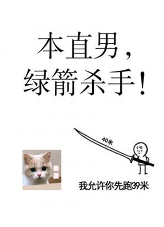 本直男，绿箭杀手！小说