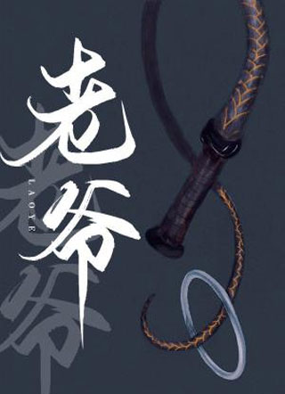 老爷小说