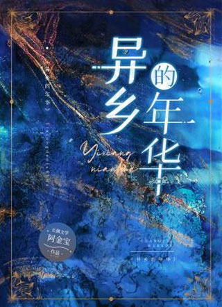 异乡的年华小说