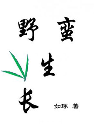 野蛮生长许野小说