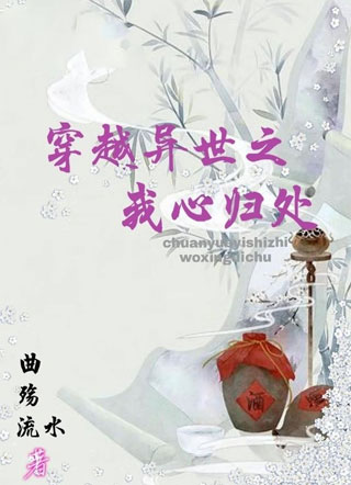 穿越异世之我心归处小说