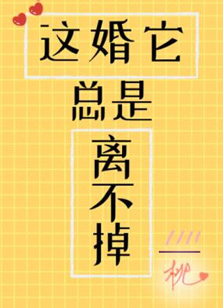 这婚它总是离不掉陆晔小说