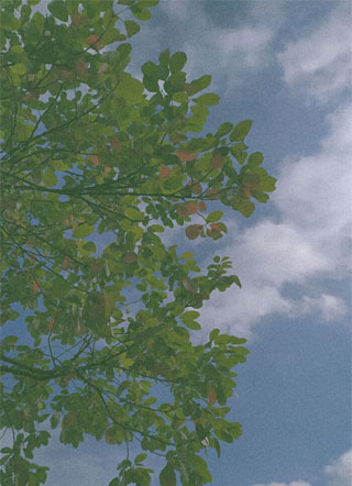海盐味的夏天小说