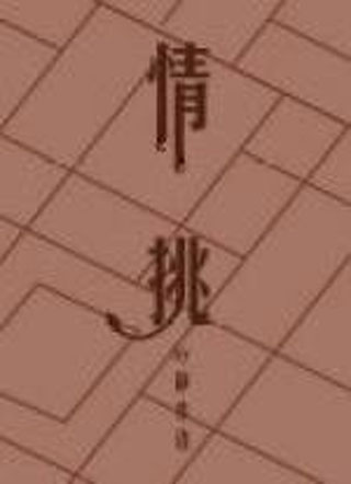 情挑小说