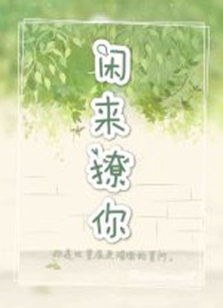 闲来撩你小说