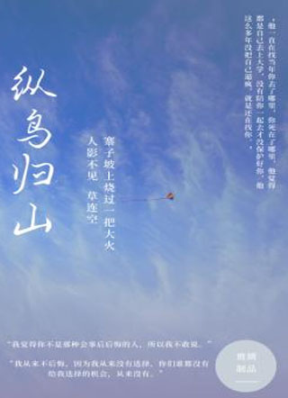 纵鸟归山小说