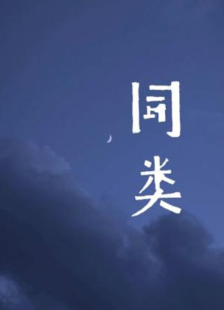 同类小说