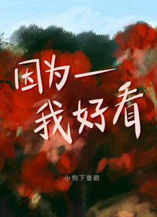 因为我好看小说