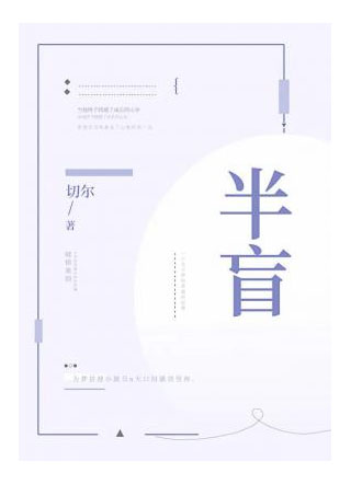 半盲小说