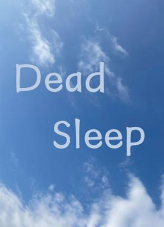 Dead Sleep小说