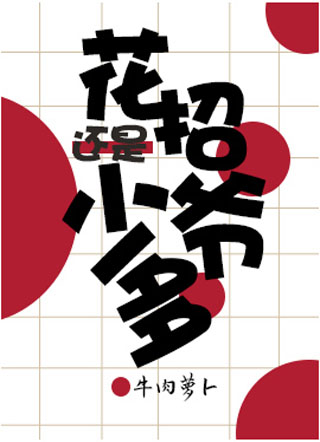花招还是少爷多小说