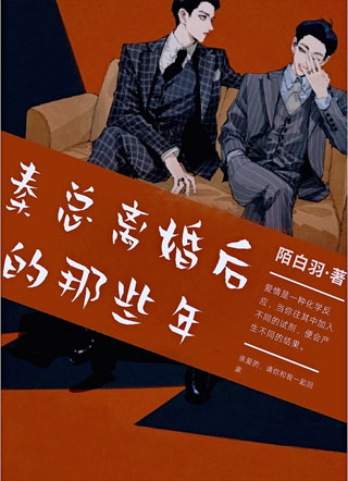 秦总离婚后的那些年小说