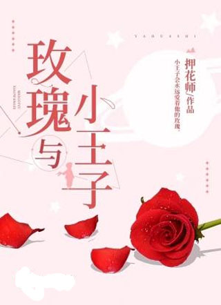 玫瑰与小王子小说