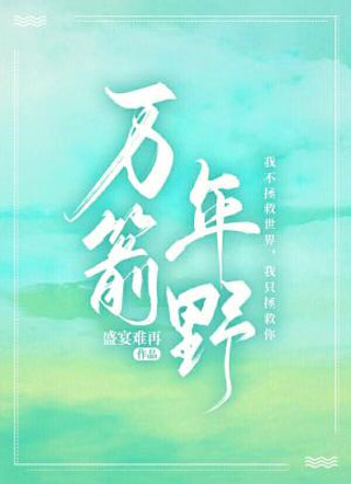 万箭年野小说