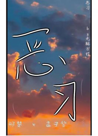 恶习小说