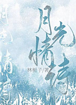 月光情诗小说