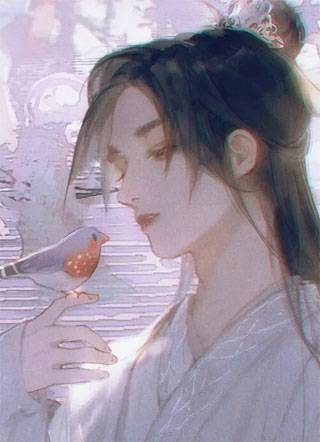 首选嘉宾小说
